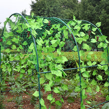 Lade das Bild in den Galerie-Viewer, Garden Fence Netting
