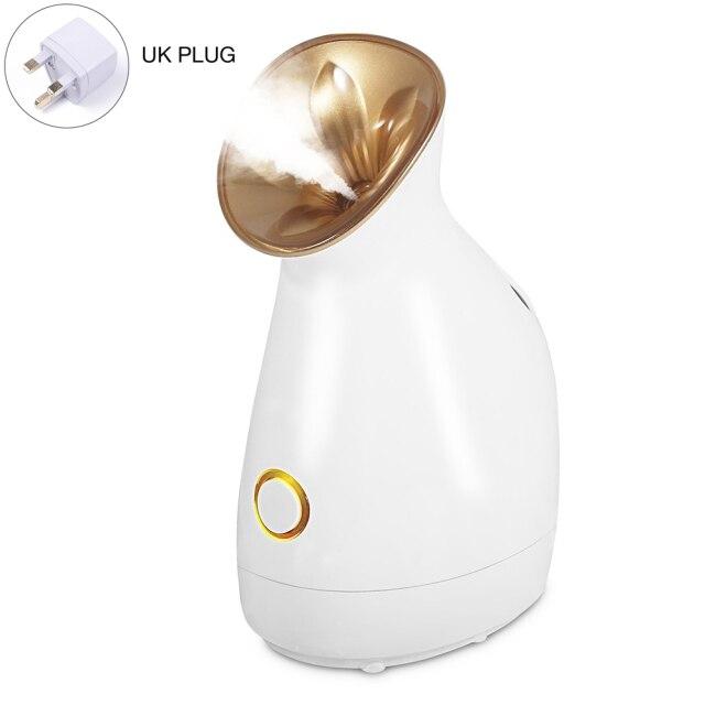 Electric Facial Steamer