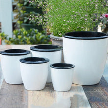 Lade das Bild in den Galerie-Viewer, Self Watering Pots
